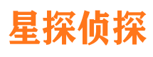 武昌市调查公司